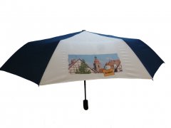 Zirndorf-Taschenregenschirm